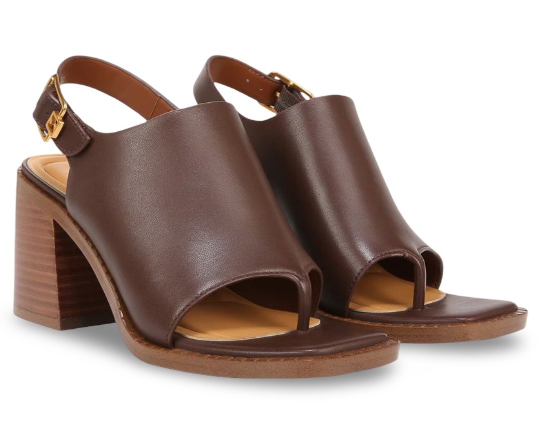 Chocolate Brown