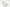 Pale Lime Nbk