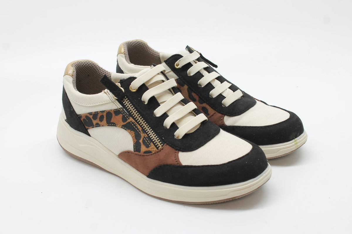 Beige Multi