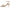 Sam Edelman Women's Philippa Heeled Sandals