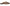 Sam Edelman Women's Lin Mule