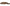 Sam Edelman Women's Lin Mule