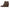 Soul by Naturalizer Womens Haley Wedge Ankle Bootie
