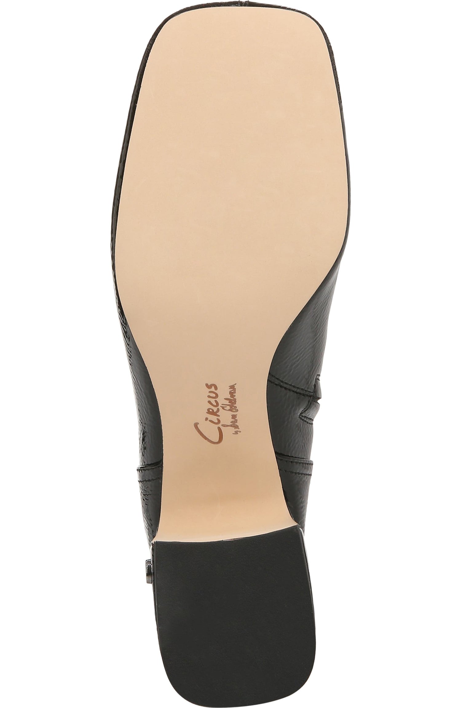 Circus NY by Sam Edelman Women's Olympia Knee High Boot