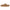Birkenstock Buckley Women's Clogs