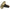 Birkenstock Madrid Big Buckle Women's Sandals