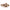 Papillio by Birkenstock Women's Arizona Chunky Sandals