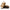 Birkenstock Women's Milano Shearling Sandals