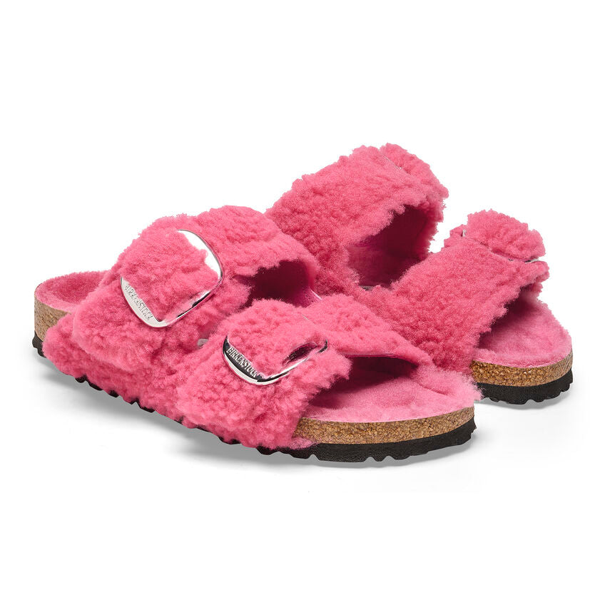 Fuchsia Tulip Teddy