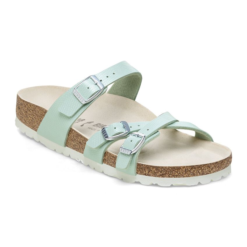 Shiny Lizard Surf Light Green