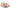 Birkenstock Women's Milano Big Buckle Sandals