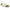 Birkenstock Kyoto Women's Sandals