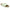 Birkenstock Women's Zurich Sandals