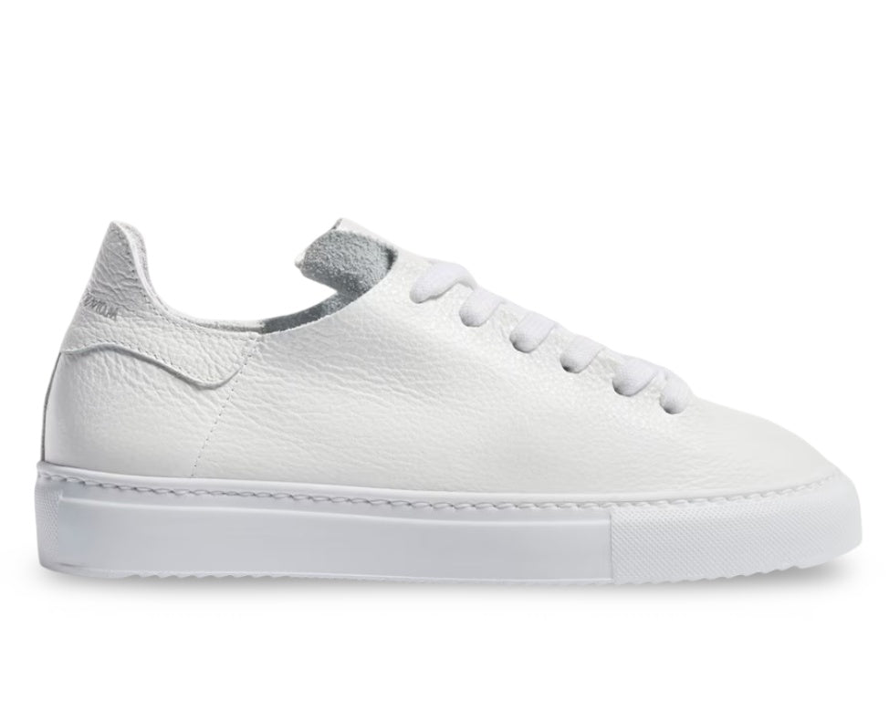 Sam Edelman Women's Poppy Sneaker