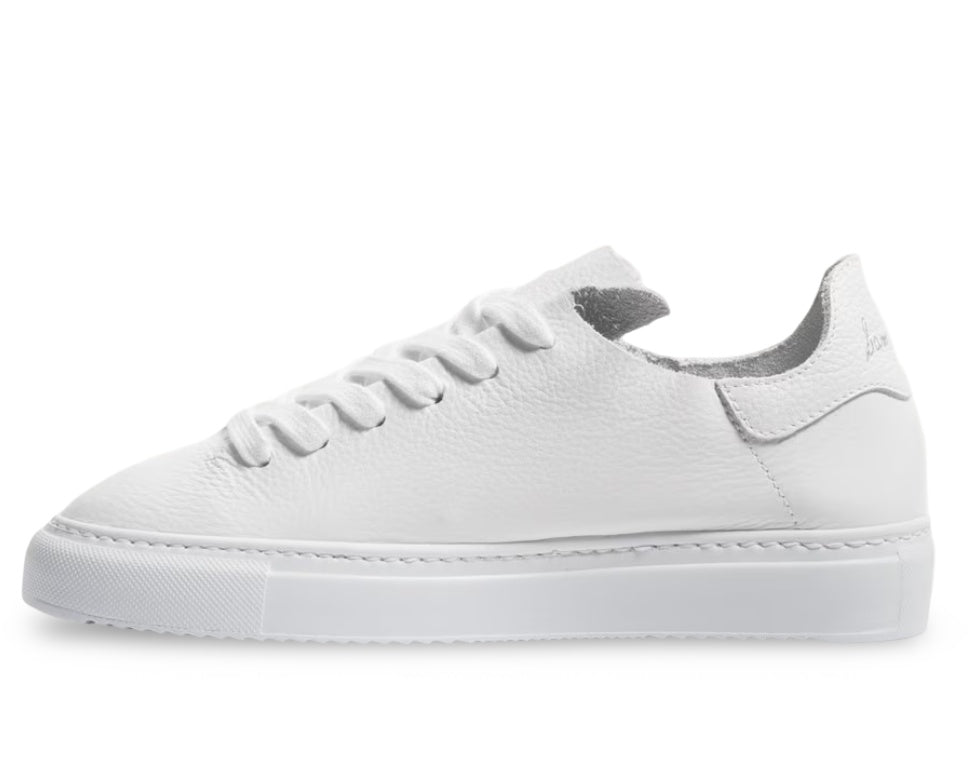 Sam Edelman Women's Poppy Sneaker