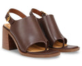 Chocolate Brown