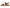 Vionic Women's Cassidy Adjustable Strap Sandal