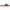 Sam & Libby Women's Reyes Slide Sandal
