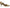 Circus NY by Sam Edelman Women's Fleur Pump