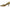 Circus NY by Sam Edelman Women's Fleur Pump