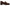 Sam Edelman Women's Denise Tassel Penny Loafer