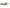 Sam Edelman Women's Cecelia Slingback Cap Toe Flat