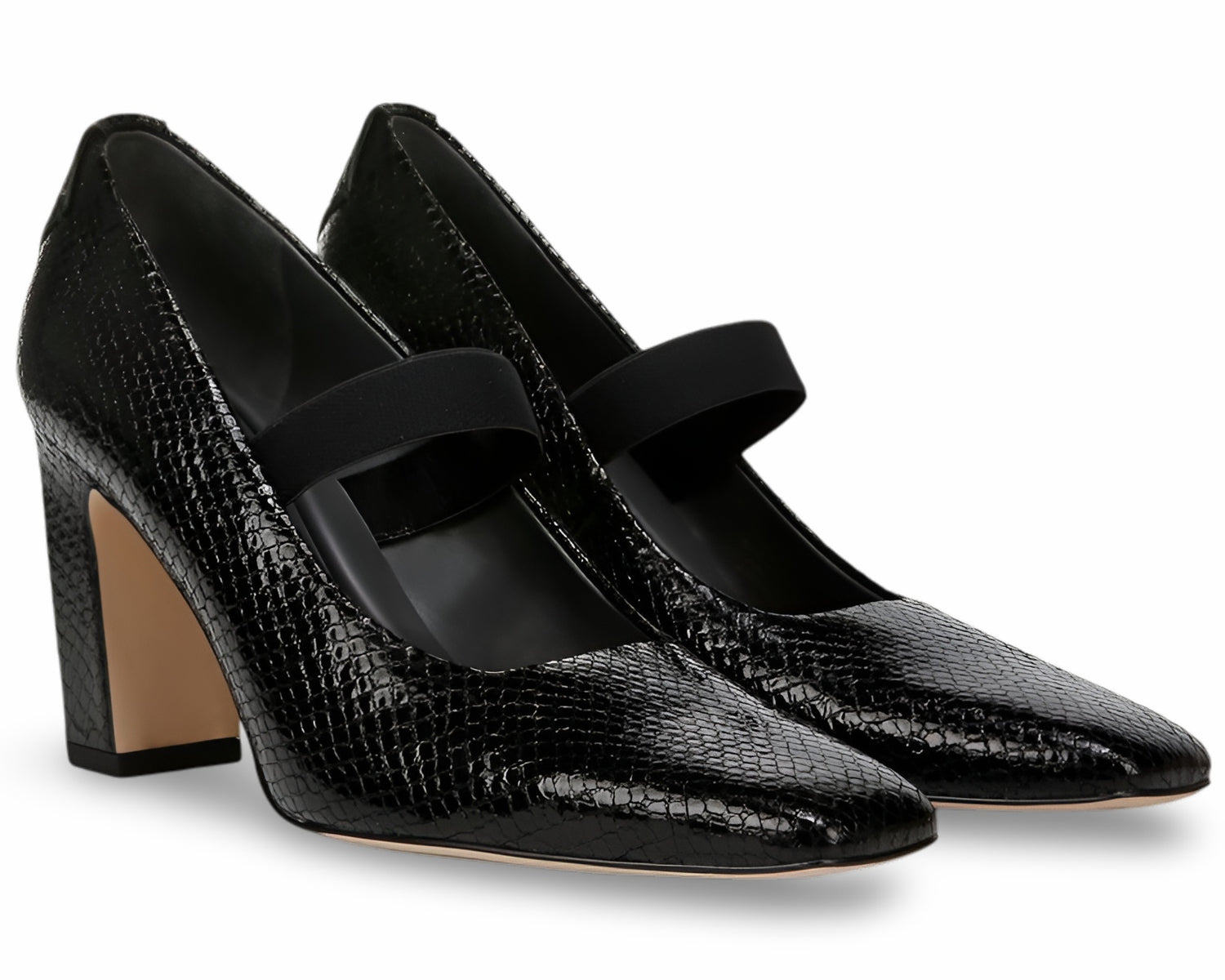 Black Snake Print