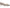 27 Edit Naturalizer Women's Nova Pump