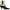 Circus NY by Sam Edelman Women's Yolanda Western Boot