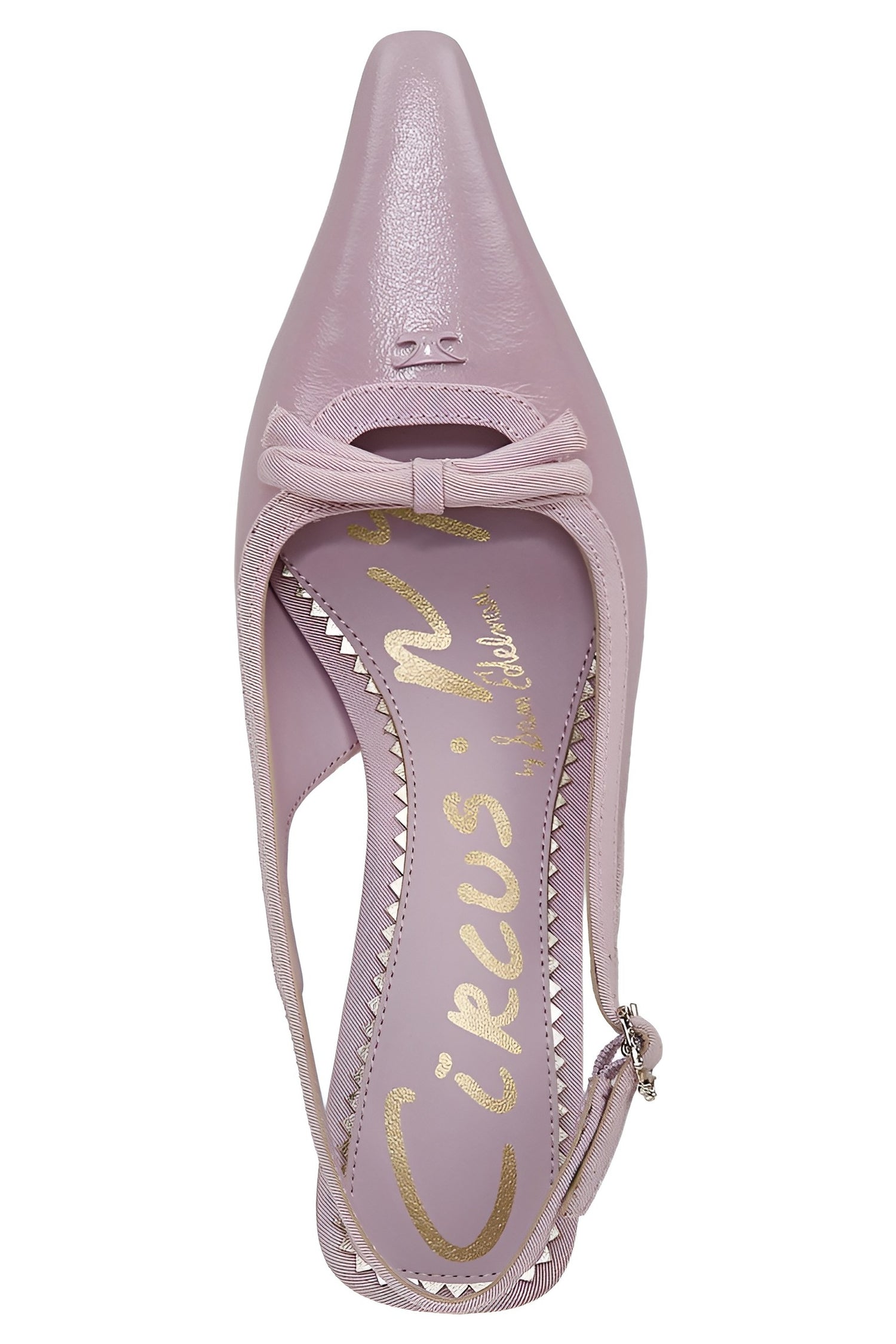 Circus NY by Sam Edelman Women's Cassidy Pointed Toe Slingback Pump