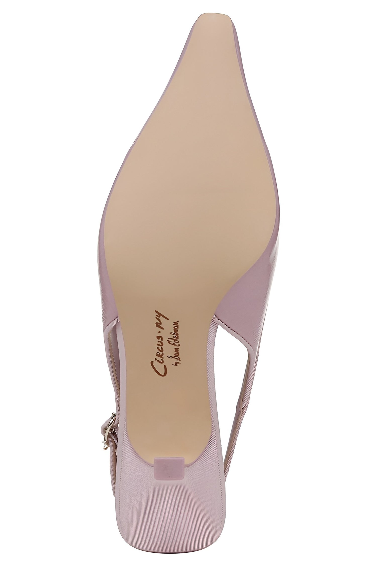 Circus NY by Sam Edelman Women's Cassidy Pointed Toe Slingback Pump