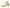 Naturalizer Women's Jordis T-Strap Platform Dress Sandal