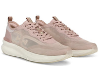 Beige/Rose Multi