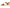 Dr. Scholl's Women's Time Off Sky Sandal
