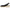 LifeStride Women's Kayden Espadrille Wedge Sandal