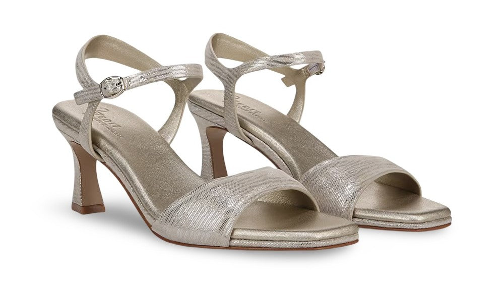 Warm Silver