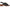 Franco Sarto Women's Silvie Slingback Heel Sandal