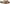 Latte Beige