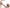 Naturalizer Women's Always Dress Sandals