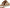 Sam Edelman Women's Adrianna Sport Sandal