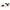Dr. Scholl's Women's Time Off Sky Sandal
