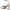 Naturalizer Women's Malia Heeled Sandal