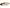 Sam Edelman Women's Nesta Mary Jane Flat