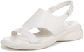 Warm White