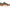 Dr. Scholl's Women's Online Lace Up Sneaker