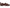 Circus NY by Sam Edelman Women's Hudson Tassel Loafer