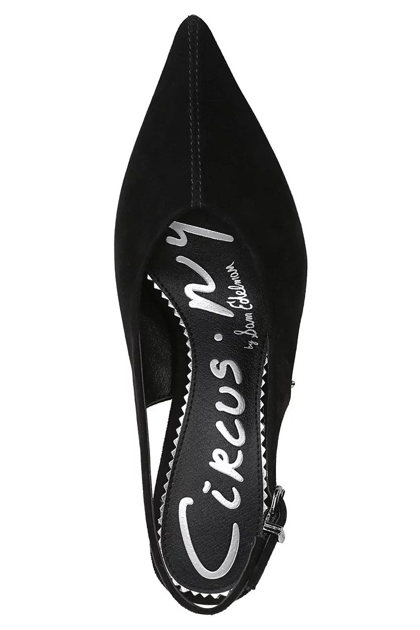 Circus NY by Sam Edelman Women's Fawn Pointed Toe Slingback Pump