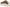Dr. Scholl's Womens Time Off Max Lace Up Sneaker