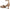 Naturalizer Women's Jules Ankle Strap Heel Sandal