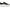 Dr. Scholl's Women's Take Time Lace-Up Platform Sneaker